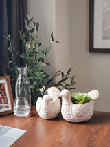 Terracotta Pot - Turtle Dove