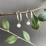 Paloma Huggies Silver