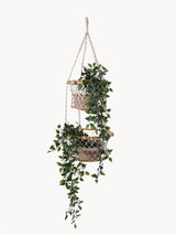 Jhuri Double Hanging Basket - ourCommonplace