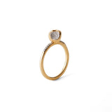 Equal to the Core - ourCommonplace