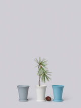 MINIMUS CONICAL POT - ourCommonplace
