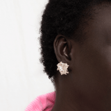 Kale-Ibrate Equality - ourCommonplace