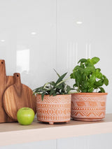 Hand Etched Terracotta Pot - Small - ourCommonplace