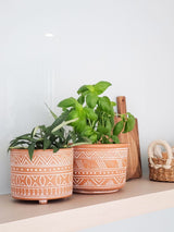Hand Etched Terracotta Pot - Large - ourCommonplace
