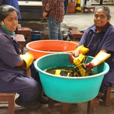 Chechi Rectangle Pattern Shibori  Reversible Table Runner - ourCommonplace