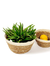 Korissa Savar Handwoven Jute & Seagrass Plant Bowls - ourCommonplace