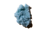 BLEU Body Wax
