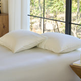 AiryWeight Eucalyptus Pillowcase Set
