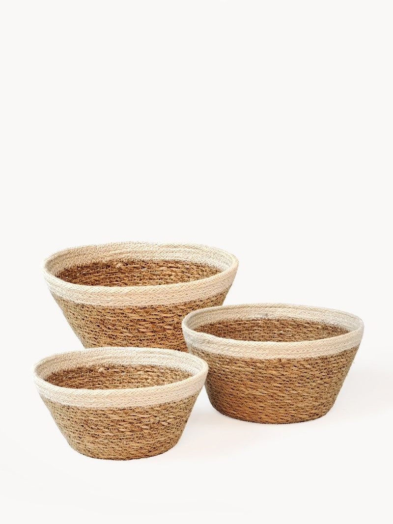 Savar Plant Bowl (Set Of 3) - ourCommonplace