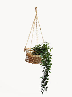 Jhuri Single Hanging Basket - ourCommonplace