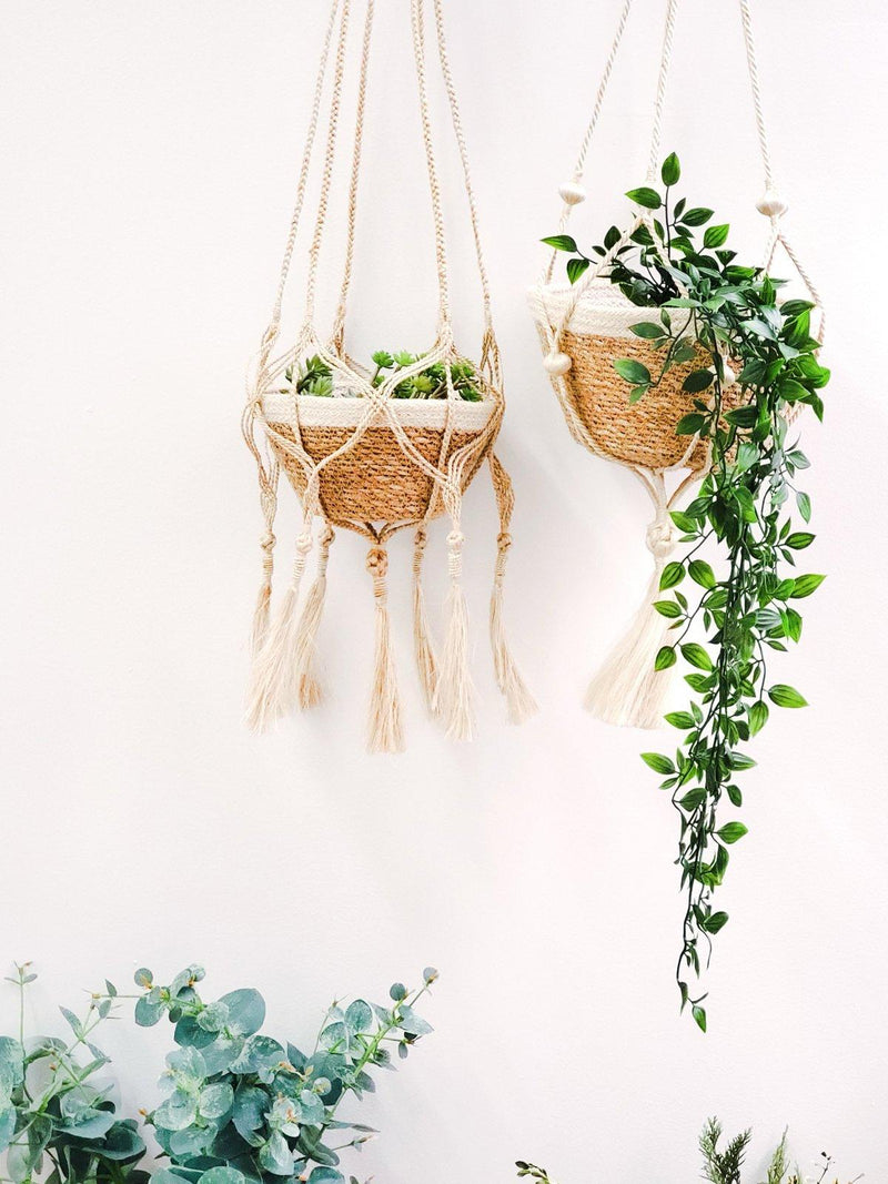 Plant Hanger - Bitan (Set Of 2) - ourCommonplace