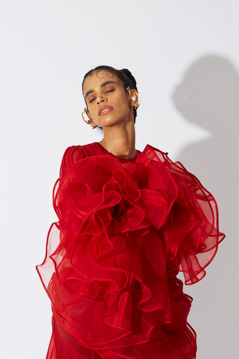 BOTTLEBRUSH ORGANZA DRESS RED - ourCommonplace