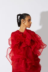 BOTTLEBRUSH ORGANZA DRESS RED - ourCommonplace