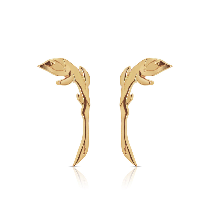 Climbing Vine Earrings - ourCommonplace