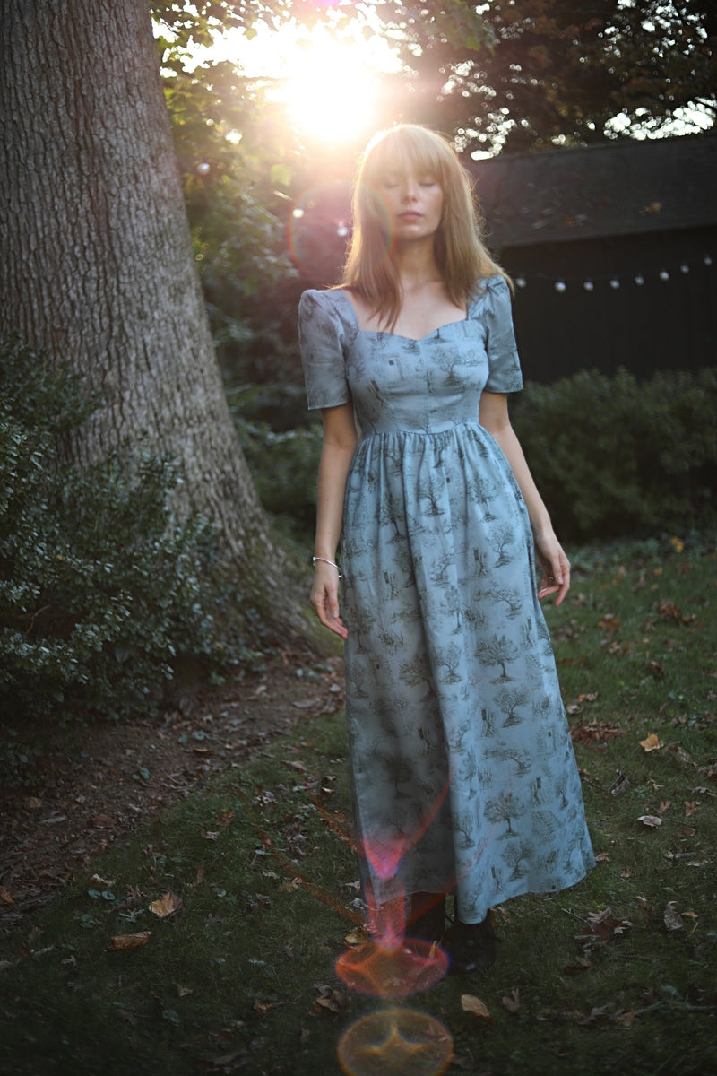 Beatrice Maxi Dress With Sweetheart Neckline / Cottage Blue + Pewter Green Cotton Toile - ourCommonplace