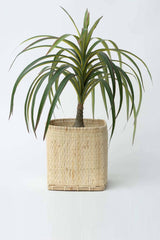 Neepa Hut Bidayuh Handwoven Small 6" Planter Basket - ourCommonplace