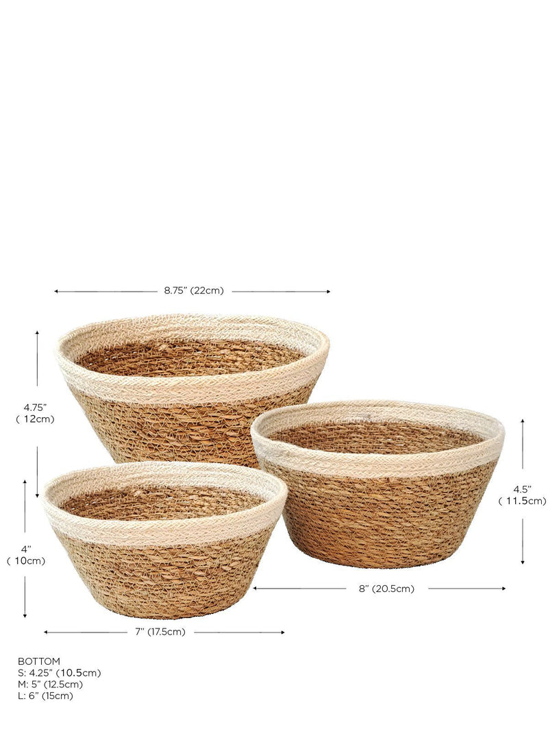 Savar Plant Bowl (Set Of 3) - ourCommonplace