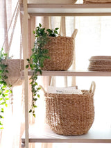 Savar Basket With White Handle (Set Of 2) - ourCommonplace