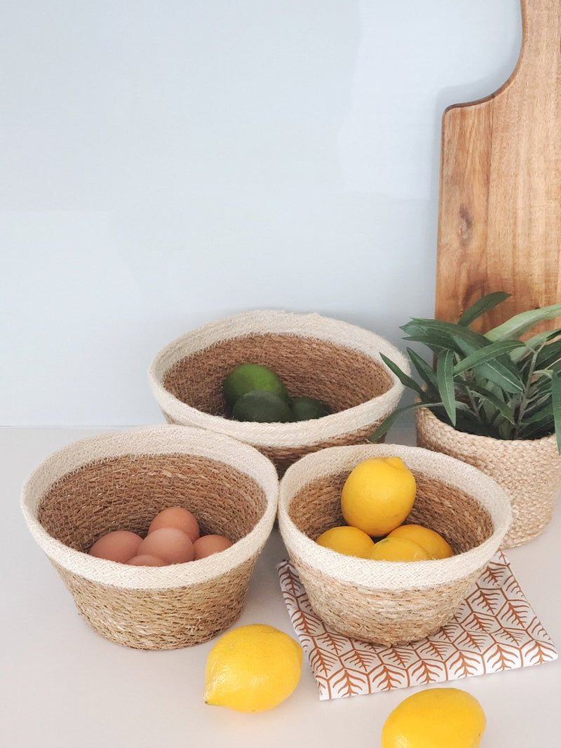 Savar Plant Bowl (Set Of 3) - ourCommonplace