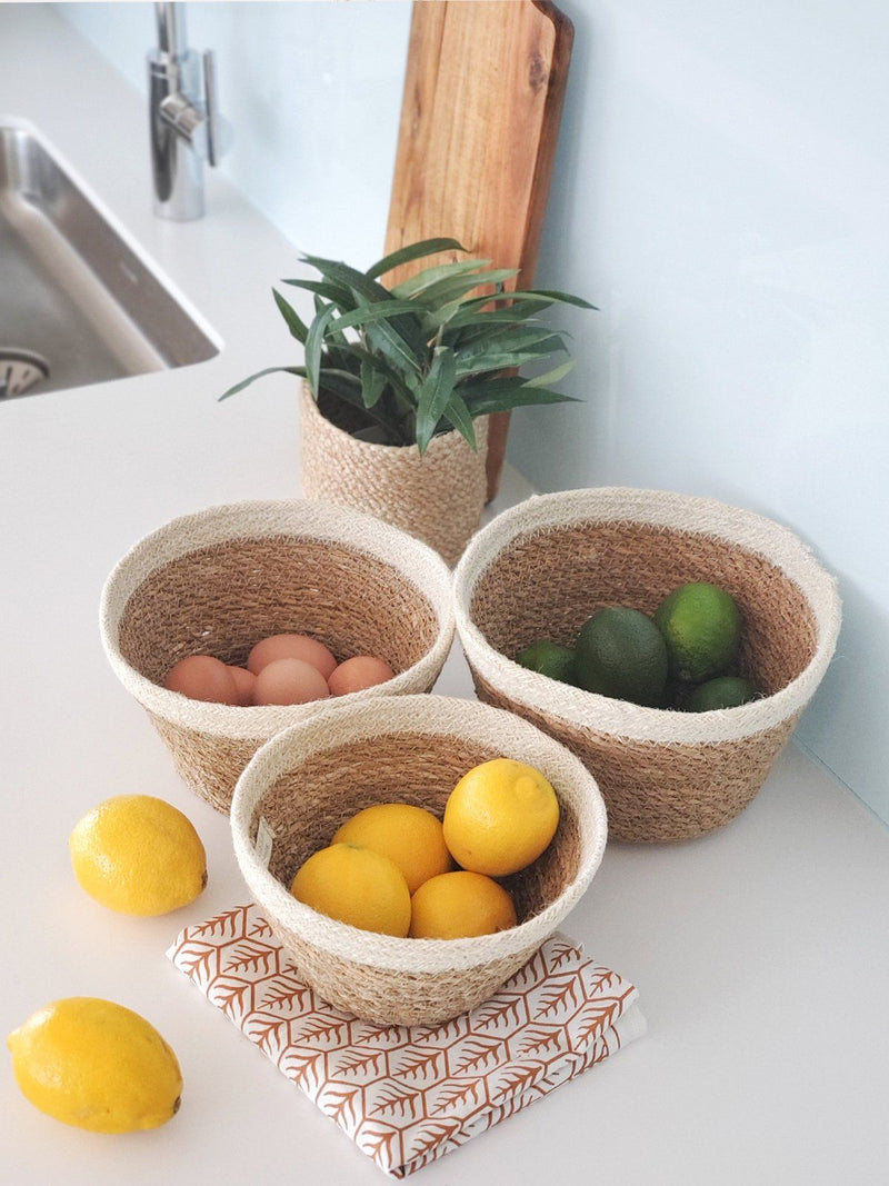 Savar Plant Bowl (Set Of 3) - ourCommonplace