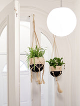 Plant Hanger - Nadu (Set Of 2) - ourCommonplace