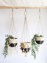 Plant Hanger - Bitan (Set Of 2) - ourCommonplace